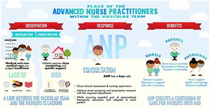 What are the four roles of the advanced practice nurse?