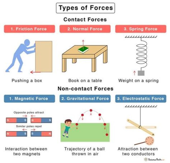 What are the four types of articulation?