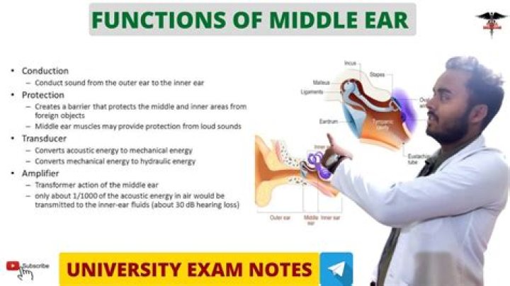 What are the functions of middle ear?