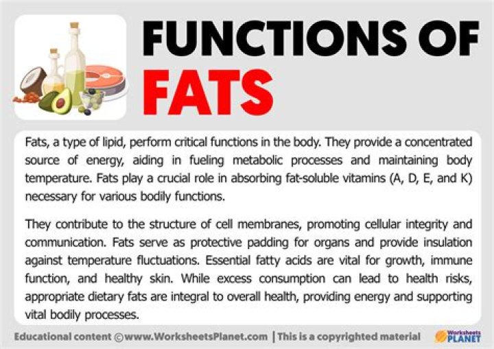 What are the functions of the fruits?