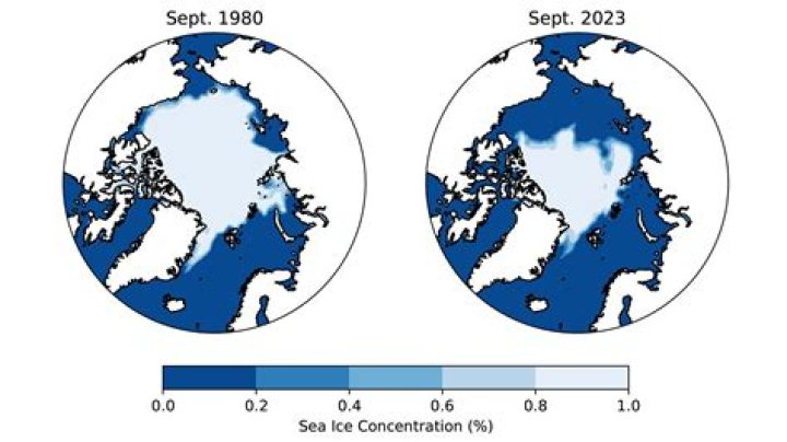 What are the implications of declining sea ice in the Arctic?