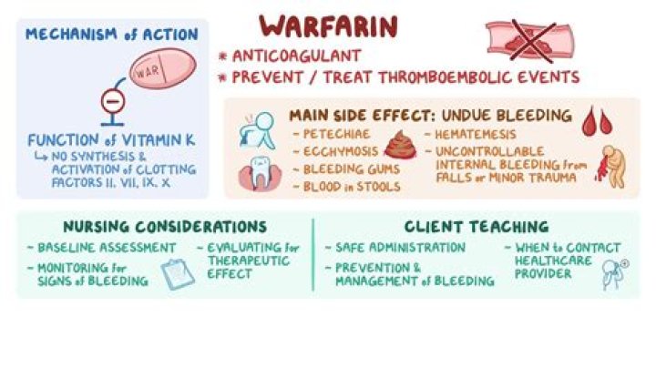 What are the indications for giving a client whole blood?