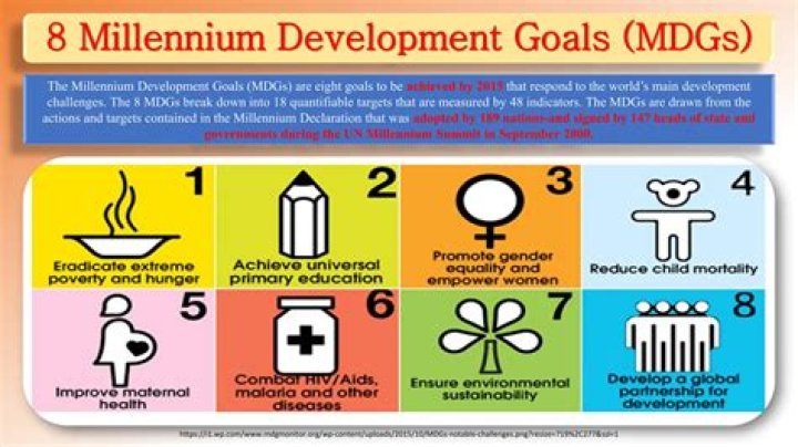 What are the indicators of Millennium Development Goals?