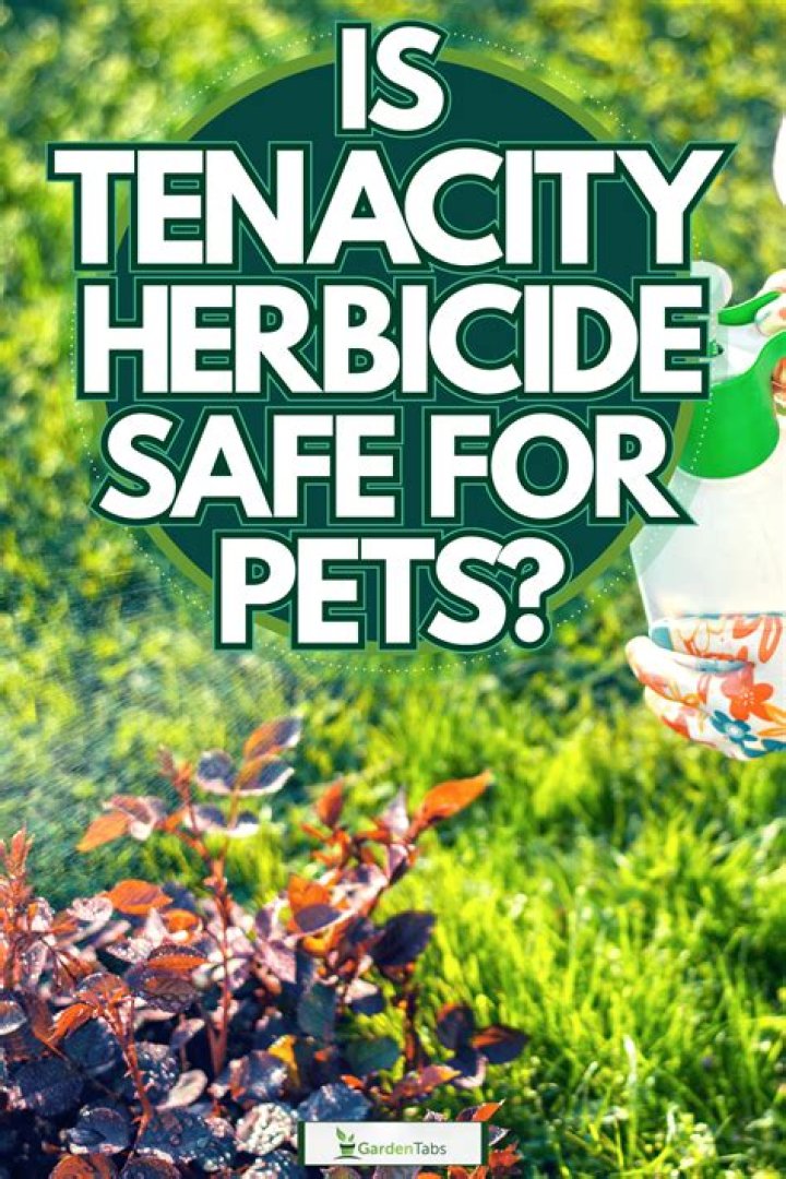 What are the ingredients in tenacity herbicide?