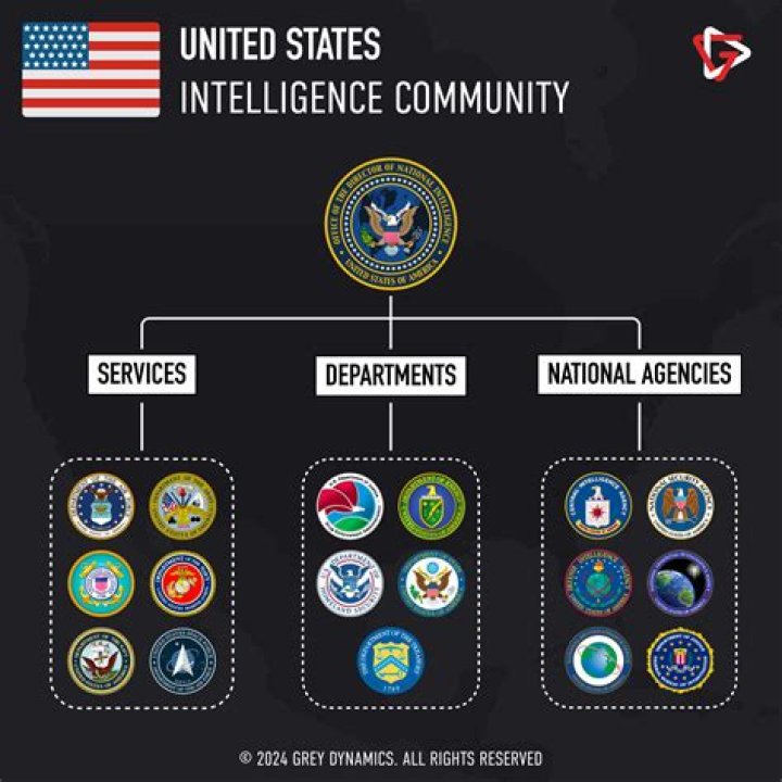 What are the interests of intelligence agencies?