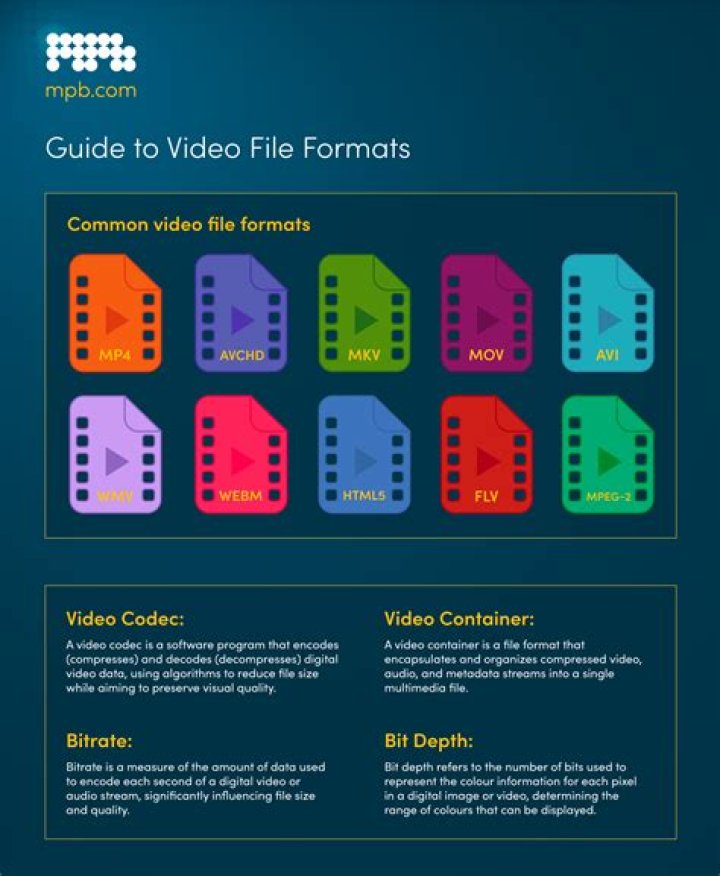 What are the known formats of digital video?
