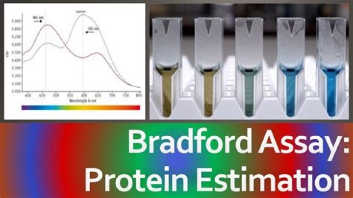 What are the limitations of the Bradford assay?