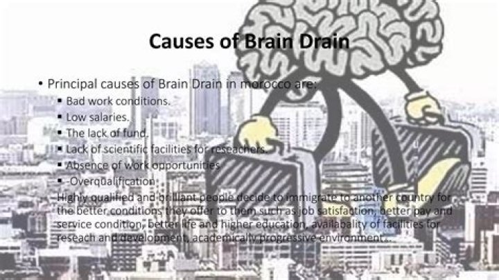 What are the main causes of brain drain?