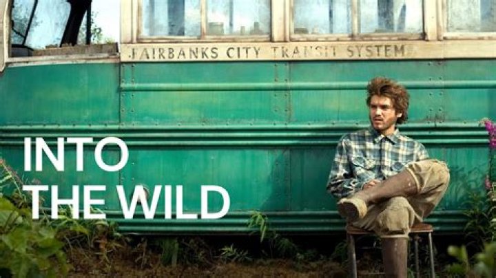 What are the main themes in into the wild?