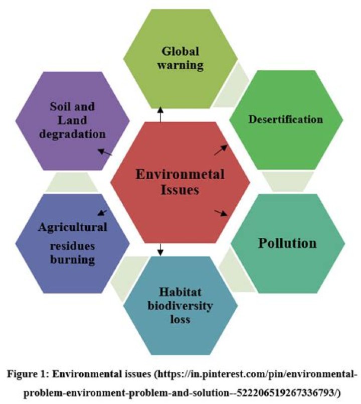 What are the major environmental problems essay?