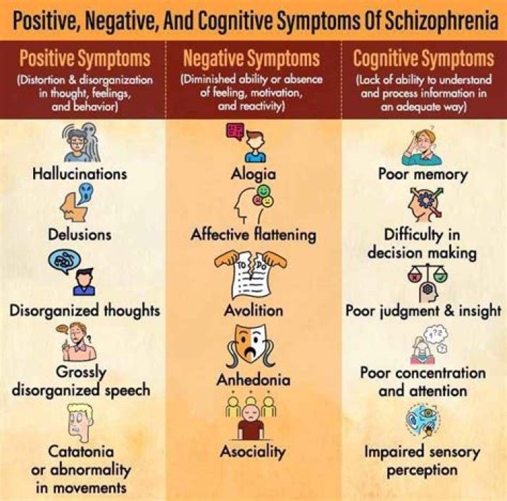 What are the major symptoms of schizophrenia What are positive symptoms and negative symptoms?