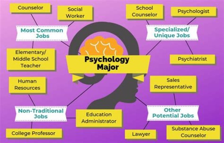 What are the majors in psychology?