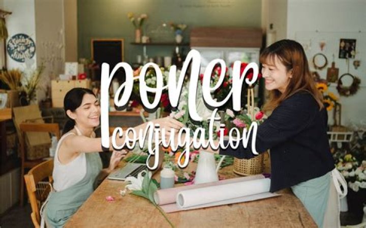 What are the meanings of poner?