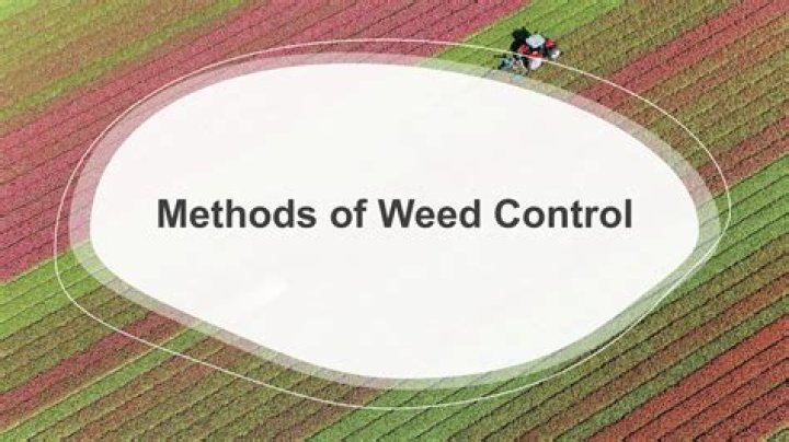 What are the methods of weed control?