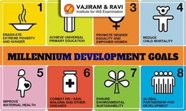 What are the Millennium Development Goals explain?
