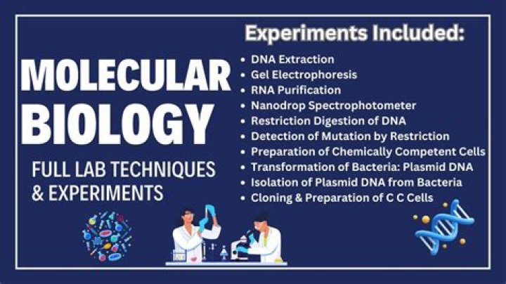 What are the molecular biological techniques?