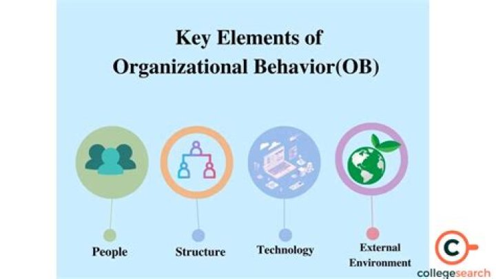 What are the organizational behavior concepts?