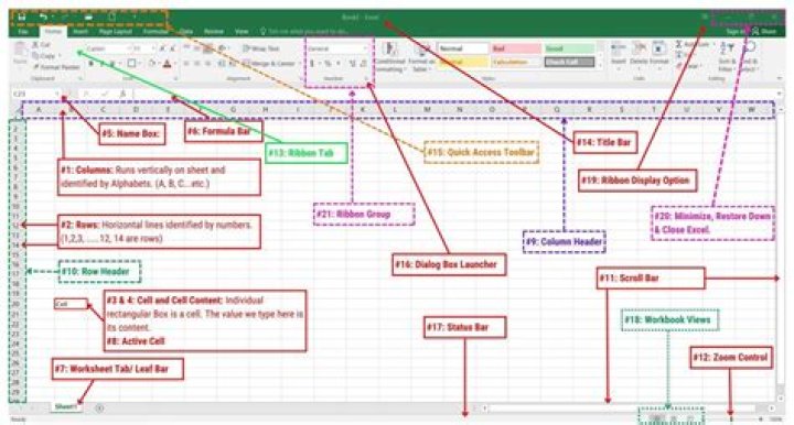 What are the parts and functions of Microsoft Excel 2010?