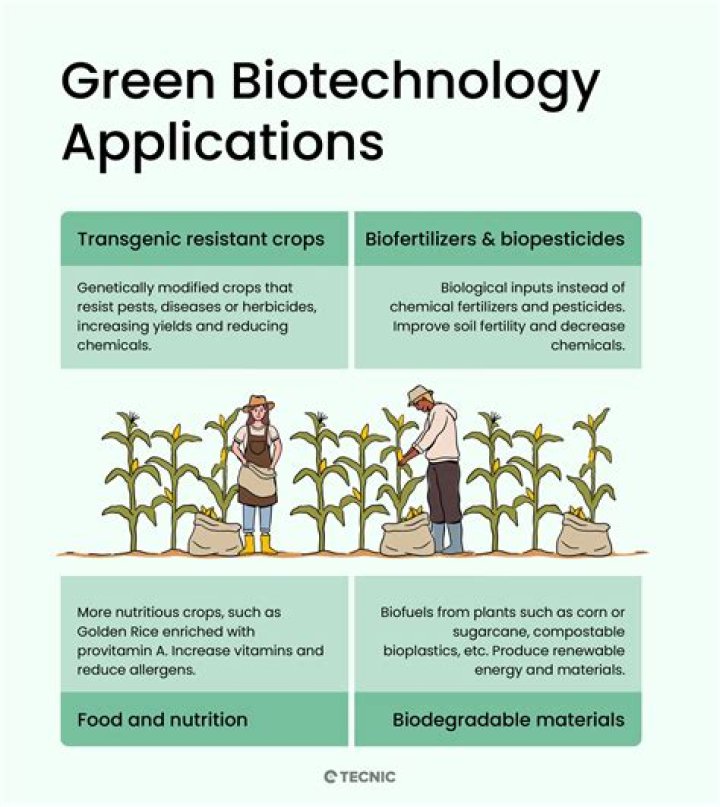 What are the products of green biotechnology?