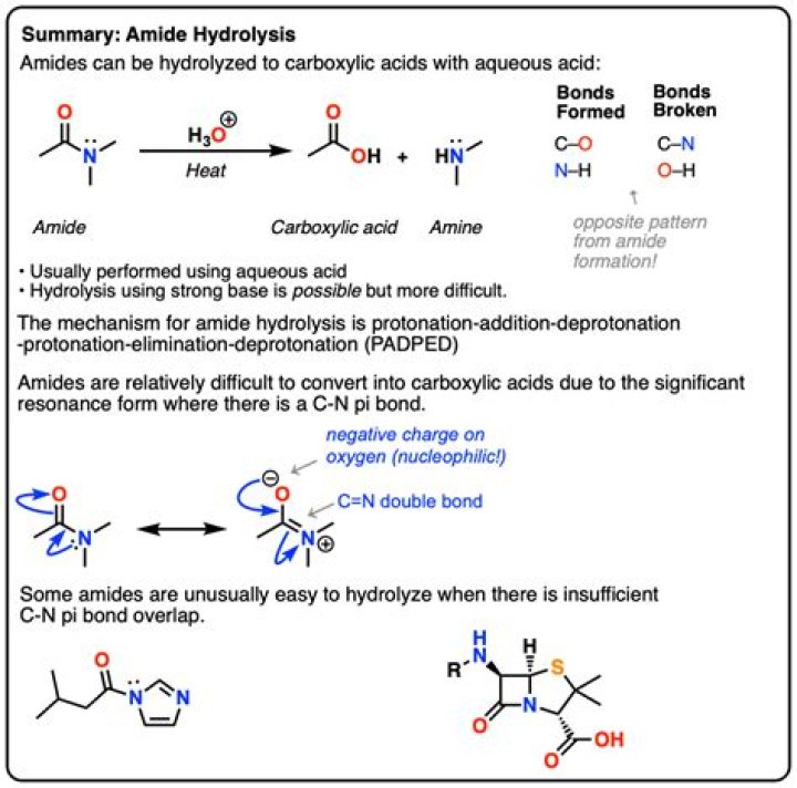 What are the products of the acid hydrolysis of an amide?