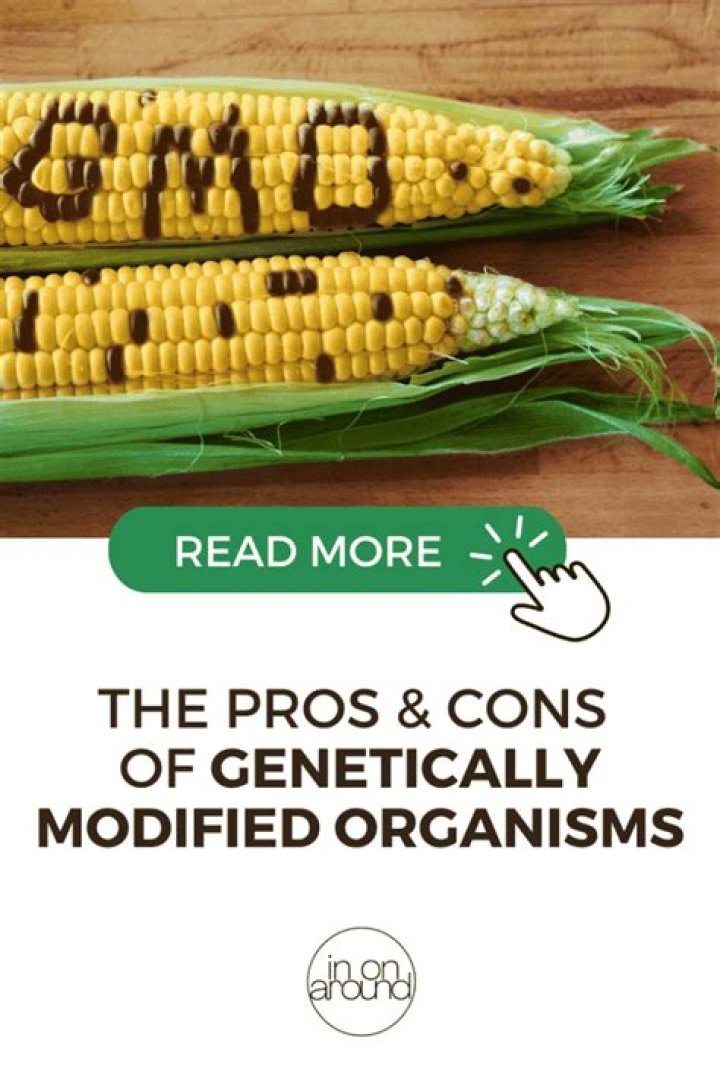 What are the pros and cons of genetically modified foods essay?