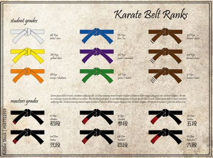 What are the ranks in karate?
