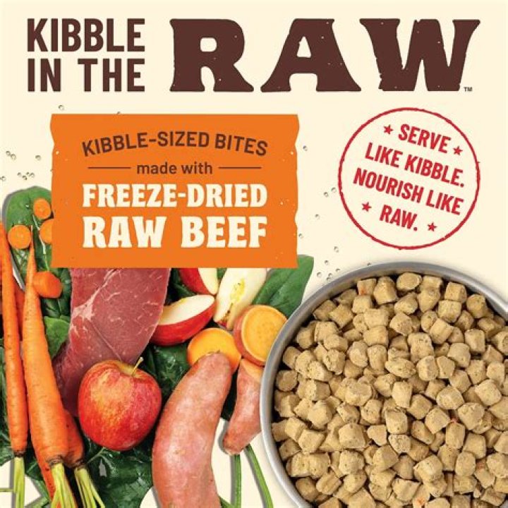 What are the raw dog food brands?