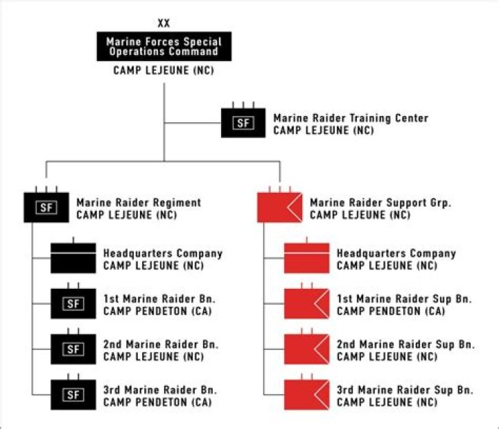 What are the requirements to be a Marine Raider?