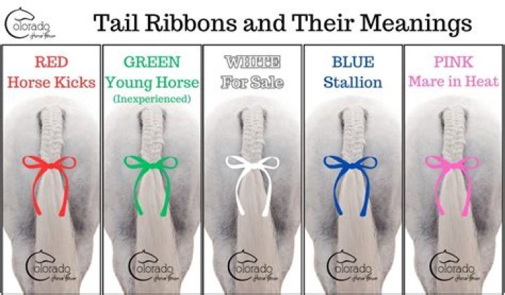 What are the ribbons called in gymnastics?