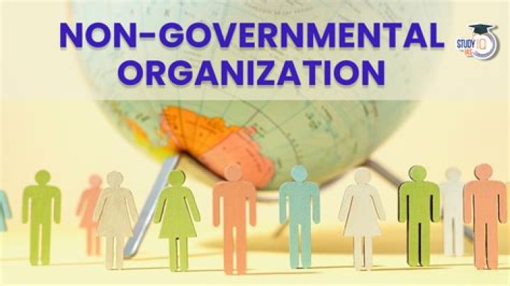 What are the roles of non-governmental organization?
