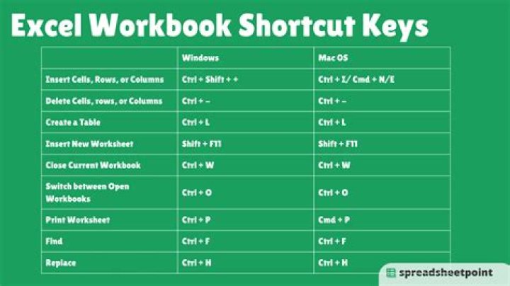 What are the shortcut keys for MS Excel?