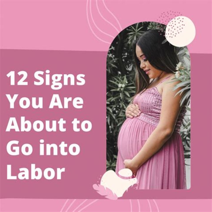 What are the signs of a pig going into labor?