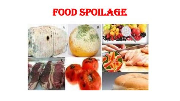 What are the signs of spoilage bacteria?
