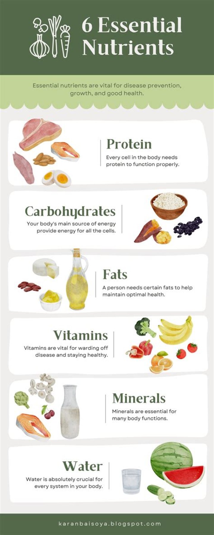 What are the six 6 essential nutrients?