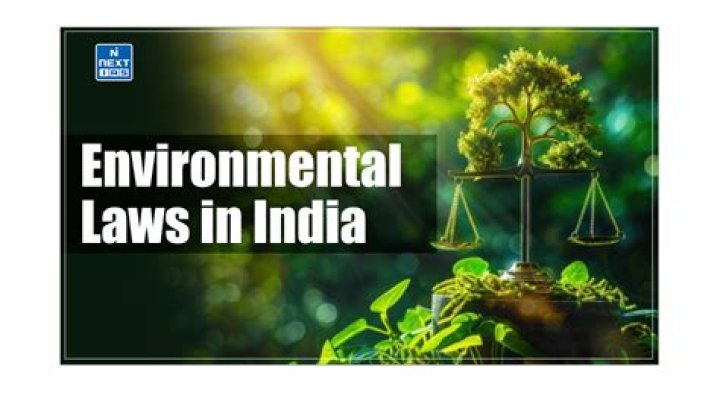 What are the sources of environmental law?