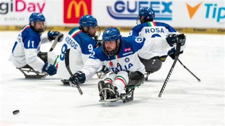 What are the sports in Winter Paralympics?
