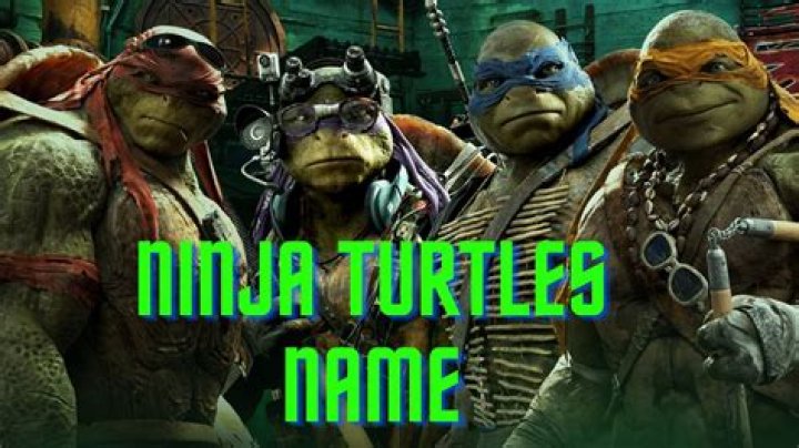 What are the three ninja turtle names?