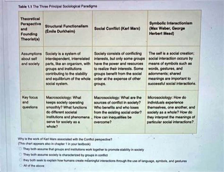 What are the three paradigms of OOP?