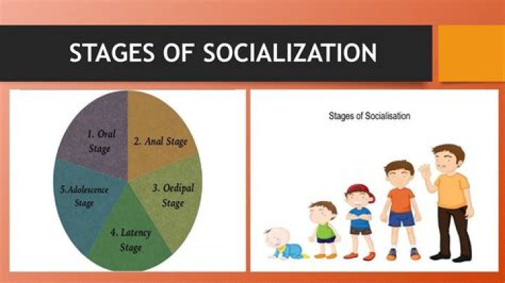What are the three stages of socialization?