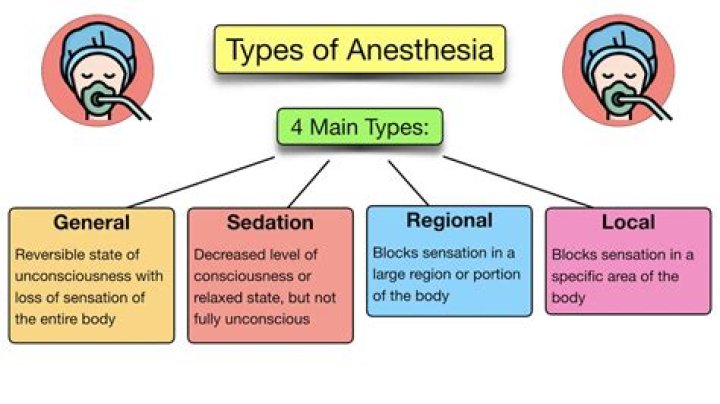 What are the three types of hierarchy?