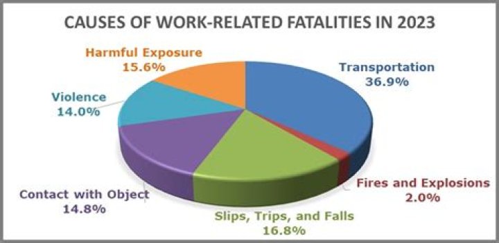 What are the top 3 causes of fatalities to workers?