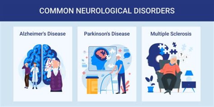 What are the top 3 nervous system disorders?