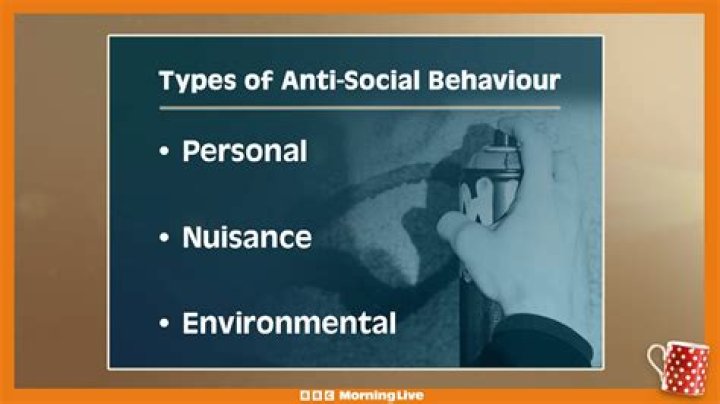 What are the types of antisocial behavior?