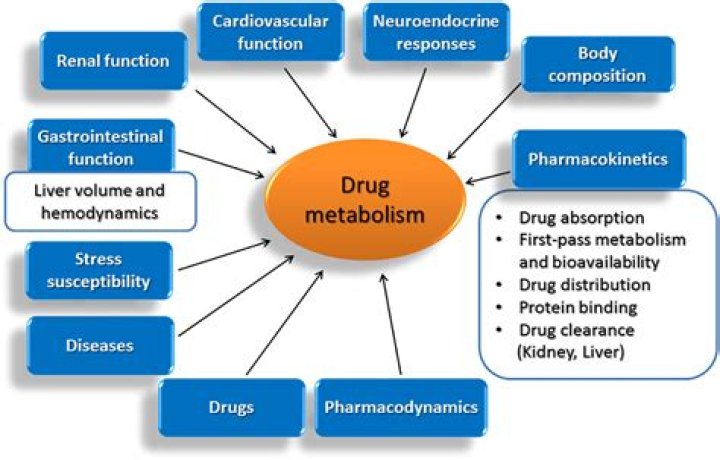 What are the types of drug metabolism?