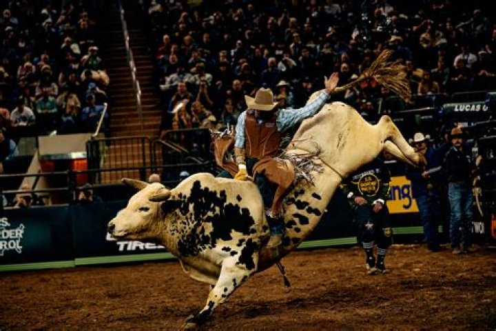 What are the vests bull riders wear?