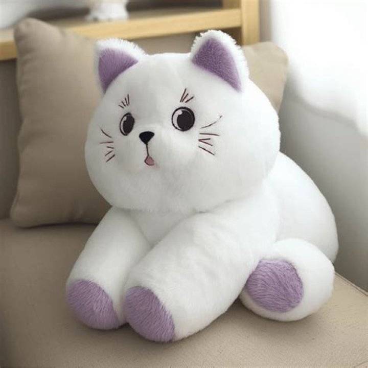 What are those Japanese stuffed animals called?