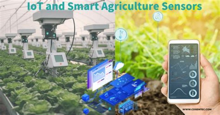 What are TPS and APP sensors?