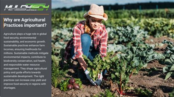 What are traditional aboriginal agricultural practices?