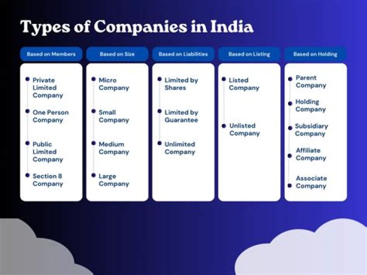 What are types of companies in USA?