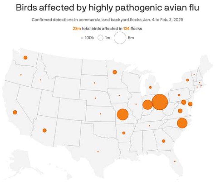 What areas were affected by the swine flu?